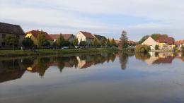 Rybník