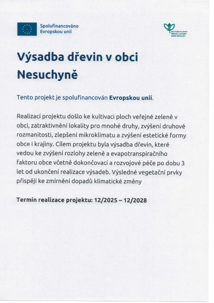 Výsadba dřevin