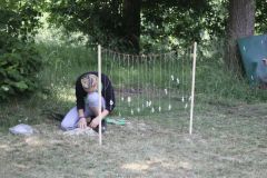 img_3793