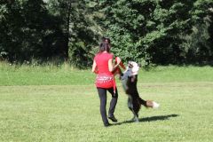 zimg_6585-6