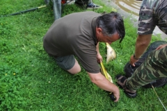 img_0961
