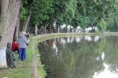 img_7391